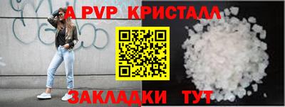 герыч Кингисепп