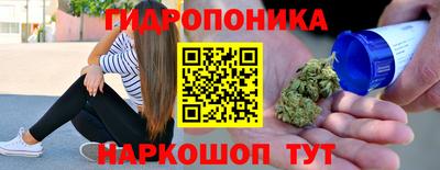герыч Кингисепп