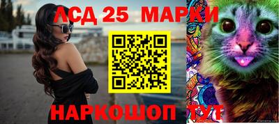 герыч Кингисепп