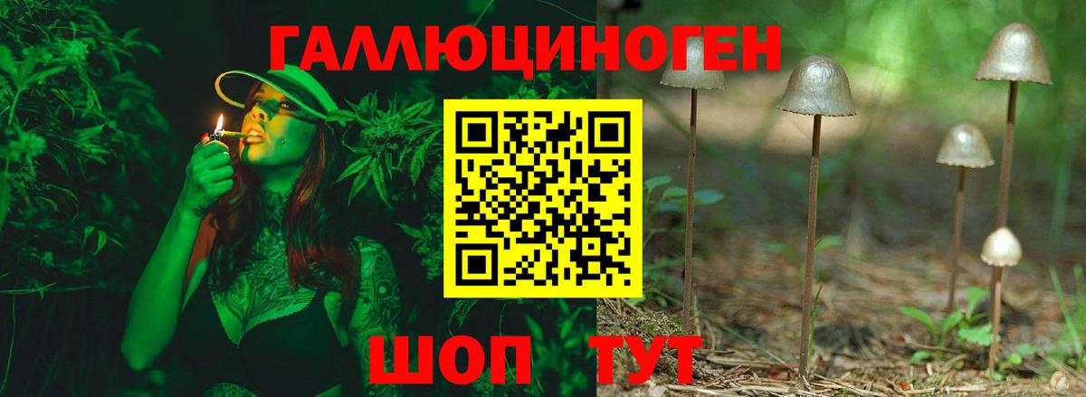 Клин  Псилоцибиновые грибы Psilocybe  Вход с VPN  Галлюциногенные грибы Psilocybine cubensis 