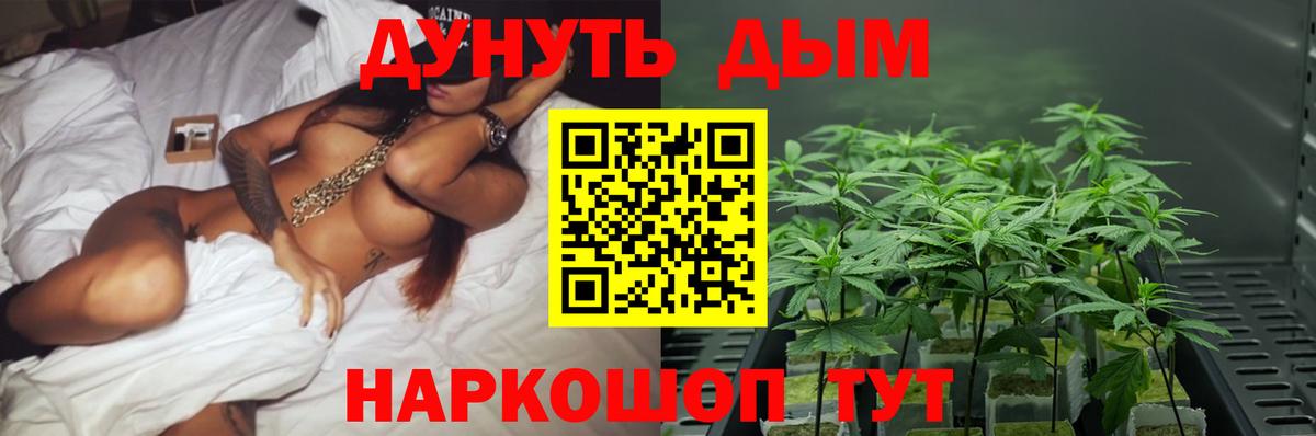 Каннабис OG Kush  Конопля сатива  Вход с VPN  Марихуана VHQ  Клин 